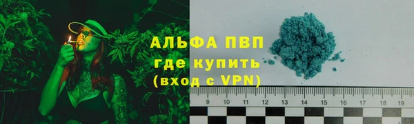 стафф Володарск