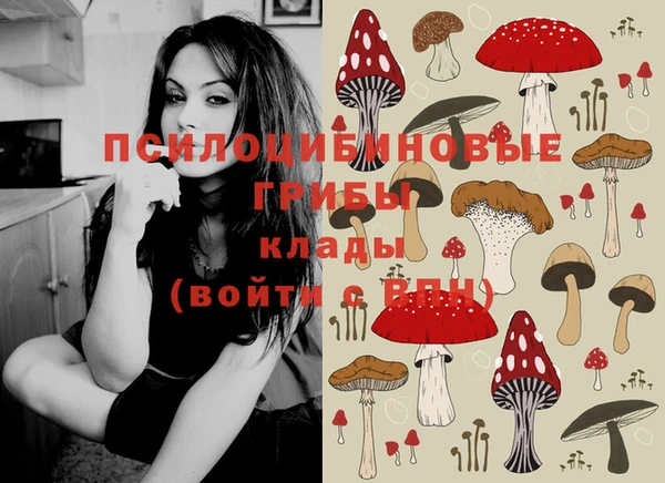 стафф Володарск