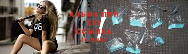 стафф Володарск