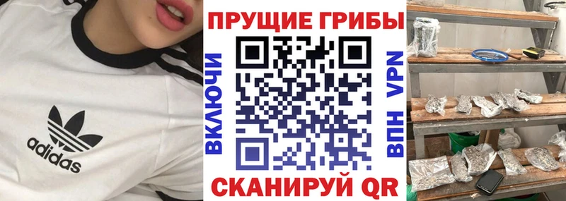 Галлюциногенные грибы мухоморы  купить   Плёс 